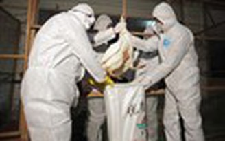 Lại có thêm người tử vong vì H7N9 ở Quảng Đông, Trung Quốc