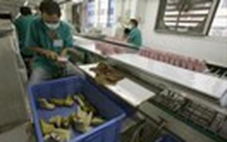 Phát hiện giày dép Trung Quốc chứa hàm lượng cao hóa chất gây ung thư