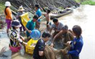 Dỡ chà ăn tết