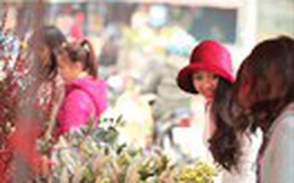 Hương sắc mùa xuân ngập tràn chợ hoa lớn nhất Hà Nội