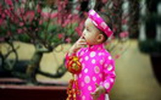 Nắng ấm cả ba miền trong ngày đầu tiên năm mới Giáp Ngọ