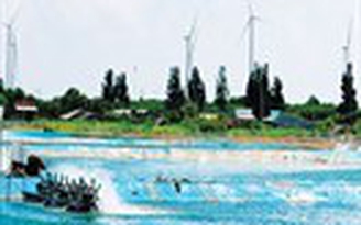 Điều chỉnh giá để phát triển điện gió