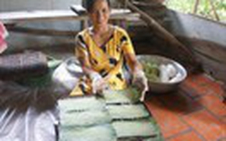 Nhà vườn làm du lịch