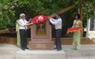 Công nhận bạch mai cổ thụ là cây di sản quốc gia
