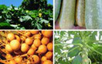 Bài thuốc chữa dị ứng thông thường