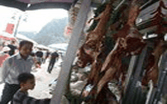 Trẩy hội chùa Hương, du khách bị lừa mua thịt thú rừng