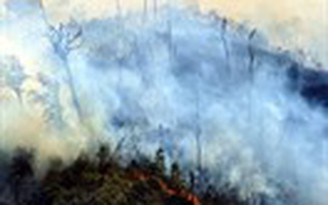 Cháy rừng ở Sa Pa nhiều khả năng do dân đốt nương rẫy