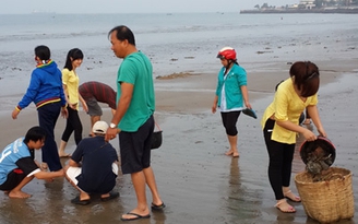 Chung tay bảo vệ môi trường biển