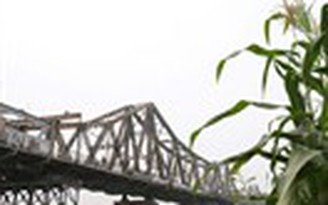 Thân thương Long Biên