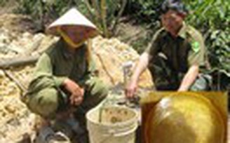 Bất an vì bị kẻ xấu đổ thuốc trừ sâu xuống giếng