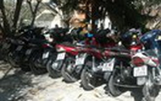 Phá ổ bạc trong biệt thự