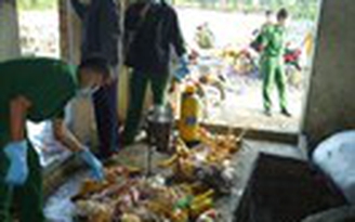 Cả nước còn 13 ổ dịch cúm gia cầm