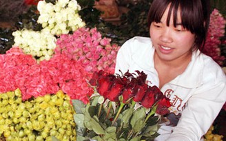 Hoa hồng Đà Lạt tăng giá gấp 4 - 5 lần