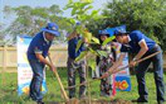Làm đẹp môi trường