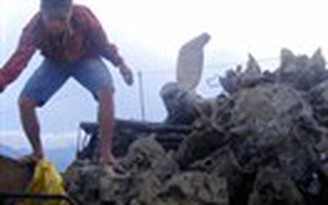Vụ trục vớt xác máy bay ở biển Lăng Cô: Người dân đổ xô đi mót phế liệu