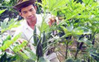 Tự tạo cơ hội - Kỳ 17: Nông dân sang Nhật săn giống đậu bắp