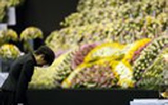 Vòng hoa tang của tổng thống Hàn Quốc bị khước từ