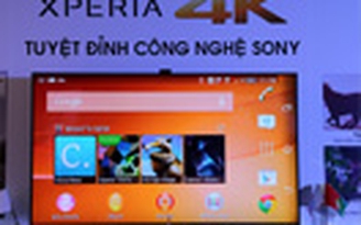 Sony giới thiệu dòng TV Bravia 4K 2014