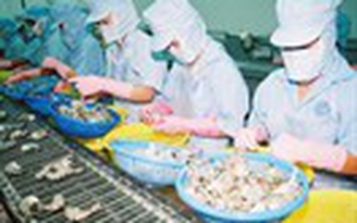 Cẩn trọng khi làm ăn với đối tác Hồng Kông