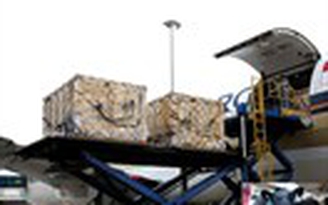 Vinamilk tiếp tục nhập bò sữa cao sản từ Úc