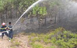 Khó khăn phòng cháy, chữa cháy rừng