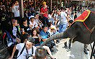 Đảo chính ở Thái Lan, khách Việt vẫn du lịch bình thường