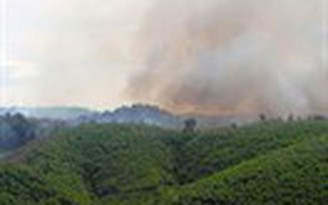 Dân đốt thực bì đe dọa rừng tự nhiên