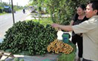 Dâu xanh Gia Bảo