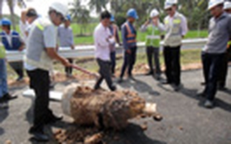 Cao tốc TP.HCM - Long Thành - Dầu Giây: Kiên quyết yêu cầu khắc phục tồn tại về chất lượng