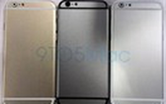 iPhone 6 vẫn sẽ có phiên bản màu vàng