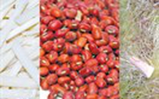 Món ăn bài thuốc cho người cao huyết áp
