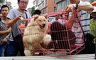 Truyền thông Trung Quốc kêu gọi kiềm chế trong tranh cãi về lễ hội ăn thịt chó