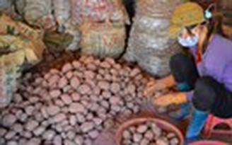 Điểm mặt khoai tây Trung Quốc tại chợ nông sản Đà Lạt