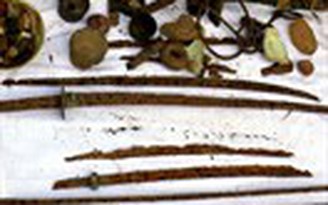 Huyền thoại những Pơtao Tây Nguyên - Kỳ 6: Lễ chuyển gươm cuối cùng ở Plei Ơi