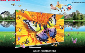 Tv Quatron Pro mới: Thế hệ TV mới với sự đột phá về chất lượng hình ảnh