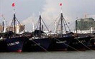 Trung Quốc dùng tàu cá 'độc chiếm' biển Đông - Kỳ 1: Bơm tiền cho ngư dân