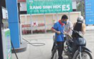 Đầu tháng 9.2014: 100% cửa hàng xăng dầu ở Quảng Ngãi đều bán xăng E5