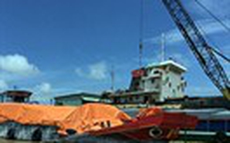 Tranh mua gạo xuất tiểu ngạch sang Trung Quốc