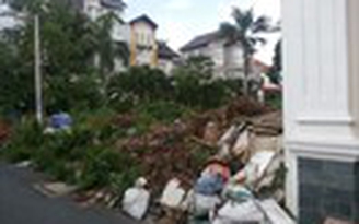 Những bãi rác tự phát