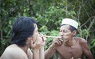 Kỳ bí Amazon: Độc dược rừng thẳm