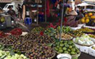 Hoa quả nội đang 'đánh bật' hoa quả Trung Quốc