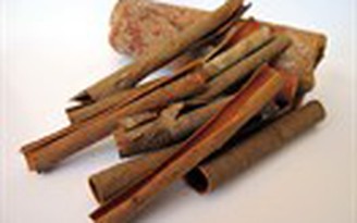 Quế trì hoãn Parkinson Quế trì hoãn Parkinson