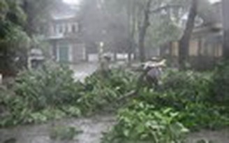 Những hình ảnh thiệt hại đầu tiên tại Móng Cái do bão Rammasun gây ra