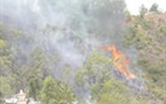 Bình Định: Núi Bà Hỏa cháy dữ dội