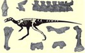 Phát hiện loài khủng long mới, có niên đại 200 triệu năm