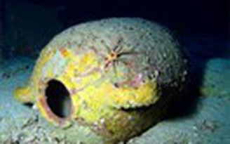 Thu thập mẫu vật từ tàu đắm 2.700 năm