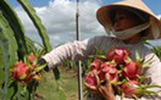 Nguy cơ mất nhiều thương hiệu nông sản Việt