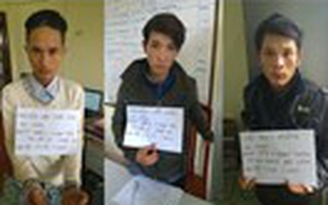 Bắt quả tang một nhóm trộm cắp chó giữa đêm khuya