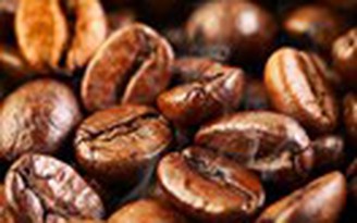 Giá cà phê giảm mạnh trước vụ thu hoạch