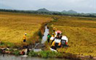 Liên kết để nông dân thoát nghèo